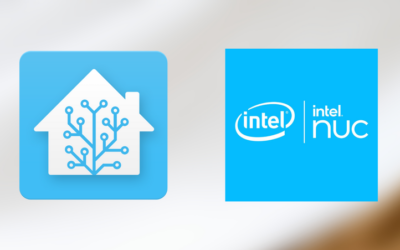 Ein Intel NUC bzw. Mini PC ist die bessere Wahl für Home Assistant